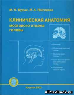 Клиническая анатомия мозгового отдела головы